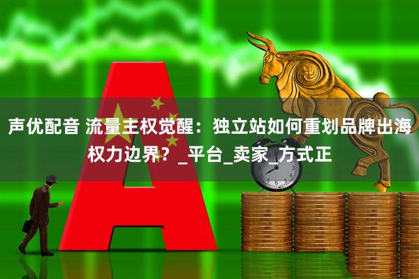 声优配音 流量主权觉醒：独立站如何重划品牌出海权力边界？_平台_卖家_方式正