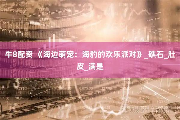 牛8配资 《海边萌宠：海豹的欢乐派对》_礁石_肚皮_满是