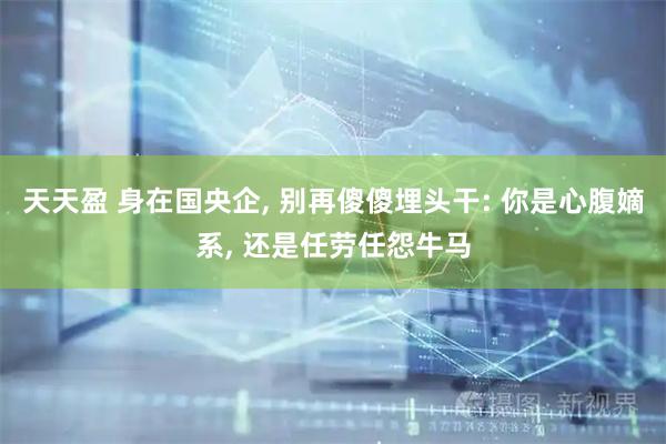 天天盈 身在国央企, 别再傻傻埋头干: 你是心腹嫡系, 还是任劳任怨牛马