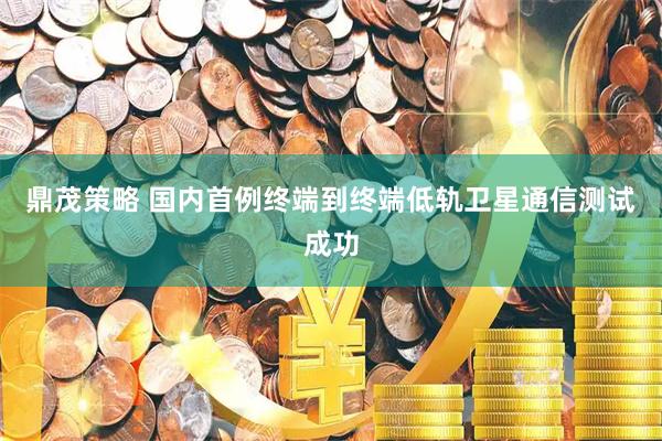 鼎茂策略 国内首例终端到终端低轨卫星通信测试成功